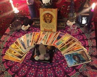 Messages from the animal spirit guides, 3 cards oracle reading