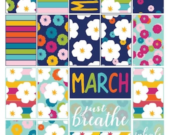 Classic March Spring Colorful Floral Full Box Printable Stickers for Classic HP Layout