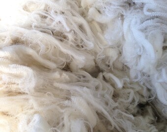 Merino Fleece 15 to 16 micron, Ultra Fine, Less than 16 Micron, Raw Fleece