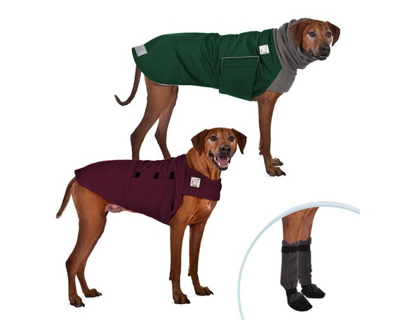rhodesian ridgeback raincoat