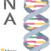 DNA Strand Cross Stitch Pattern PDF