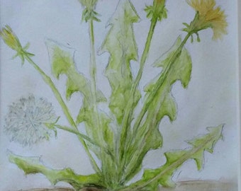 Dandelion original watercolorpainting