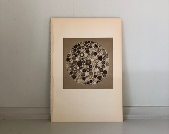 1934 DIATOMS SEA ALGAE print vintage microscopic sea plant sepia lithograph - Phytoplankton