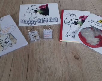 Spearshake birthday set
