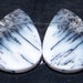 DENDRITE OPAL AGATE Gemstone 17Carat Cabochon Pair Lot Natural Gemstone Wholesale Lot Loose Gemstones for earrings jewelry gift