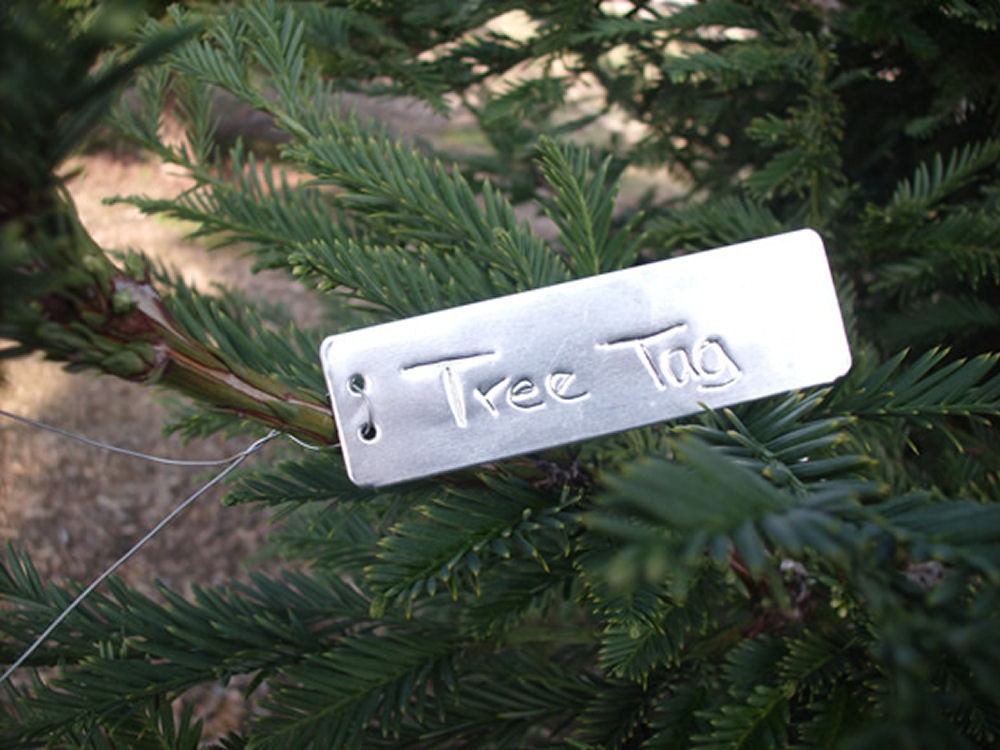 100 Small Aluminum Tags, Tree ID Tags, Garden Labels, Silver Metal