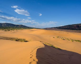 Coral Sand Dunes 8x10 Photograph
