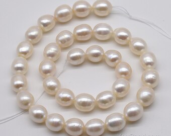 1Strand Natural White Shell Beads Strands Mother Of Pearl Shell Beads Moon White About 11mm Wide 12mm Long 3mm Thick Hole 1mm 34 Pcs Strand 16 Inch