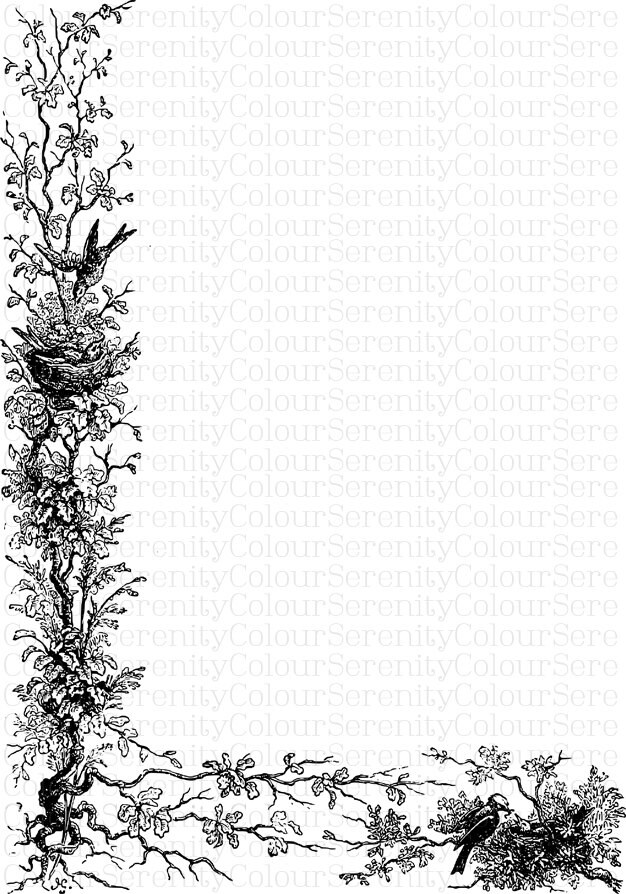 Vintage Nature Borders Clip Art 5 Printable Instant Download Black and ...