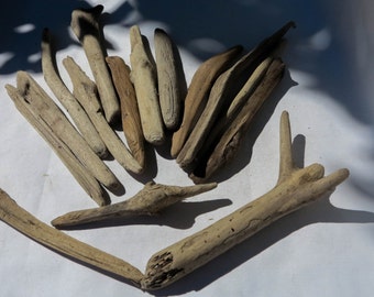 Driftwood Supply 15 pieces.Driftwood Sculpture, Natural Beach Decor, Craft Supply, Bulk Driftwood for Arts, Lake House Decor,Display piece
