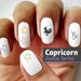 Capricorn Zodiac - Water Slide Nail Decals