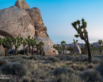 A lonely rock in Joshua Tree