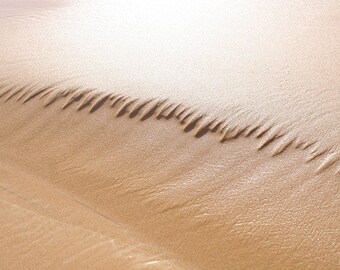 the sand. The summer, photography, holidays and travel. in Sicily, fine art print. Photo Print.