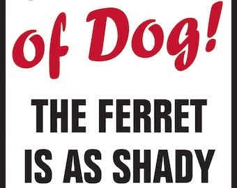 Beware of Dog! The Ferret is Shady as Aluminum Dog Sign - 9" x 12"