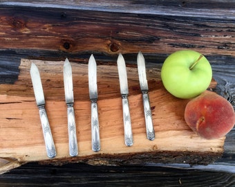 Vintage Set of 5 Wm and Rogers Silver Plate Fruit Knives, kitchenware,silver plate knives, grapefruit knives, vintage kitchen