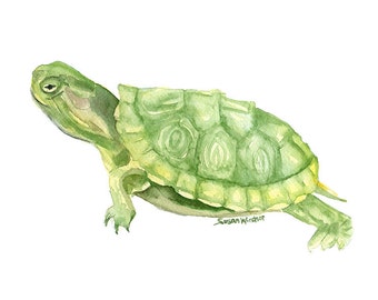 Turtle Watercolor Painting Print - 11 x 14 - Giclee Fine Art - Wall Art Animal Painting - Reptile Art