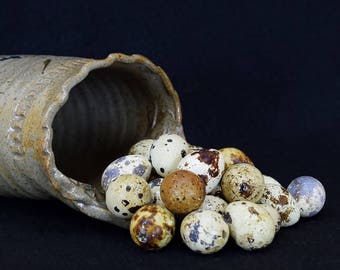 20 Empty Quail Eggs for Sale