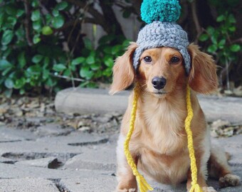 Dog beanie with pom pom / dog hat / crocheted dog hat / dog gift