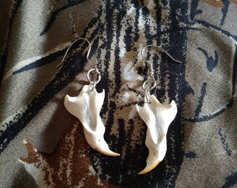 Gray Squirrel Jaw Ear Rings