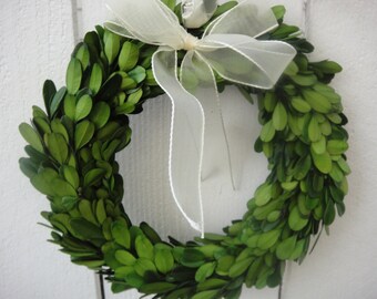 Preserved Wreath Boxwood Wreath Preserved Boxwood Wreath Home Decor Saint Patrick's Day Wedding Decor 8" Boxwood Wreath