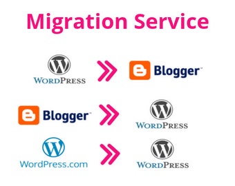 Migration Service - Transfer Service