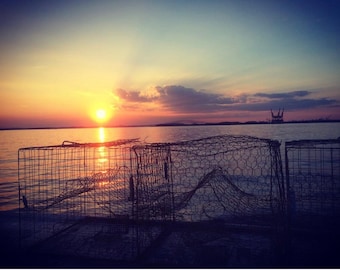 Chesapeake Bay Photography