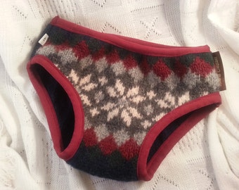 Youth Boys Nighttime Bedwetting Wool Underwear Cover - Jack 3081