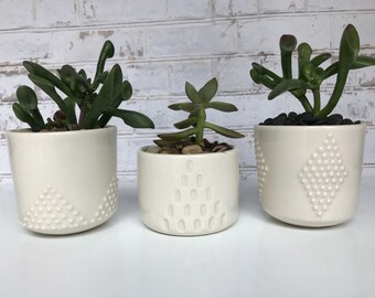 Studded and A line small planter set - made to order - succulent planter set - small planter - ceramic planter - minimalist planter - modern