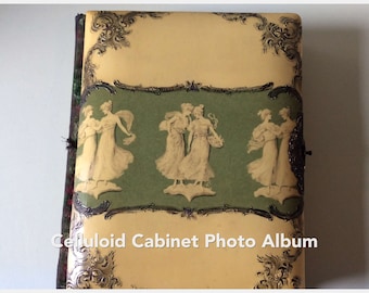 Celluloid Cabinet Photo Album (1892-1915)/Historic Photo Album/Art Nouveau Photo Album/Heirloom Photo Album/Photography Collectibles/Albums