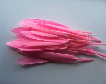 10 Pink Duck Feathers