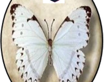 1 cabochon glass 25mm x 18mm Butterfly theme