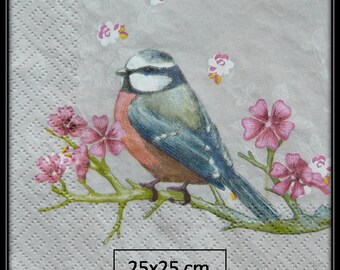 paper towel chickadee on cherry blossom branch