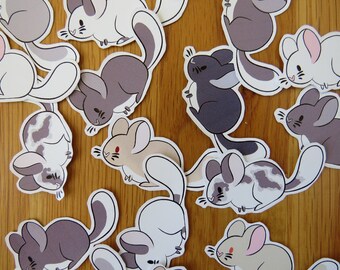 Assorted Mini Chinchilla Stickers