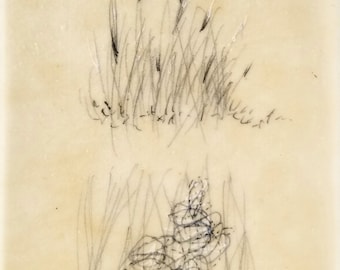 Daily Drawing March 12, 2018 / Tall Grasses / Mixed Media Drawing with Beeswax