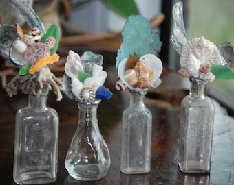 Shell and Antique Bottle Assemblage