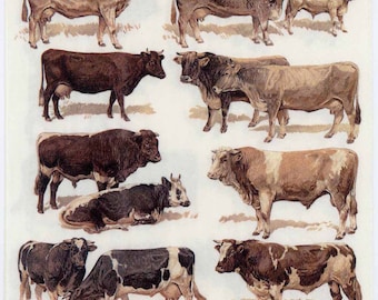 Decoupage Napkins | Cattle Breeds Bulls and Cows | Cattle Napkins | Cow Napkins | Bull Napkins| Farm Napkins | Paper Napkins for Decoupage