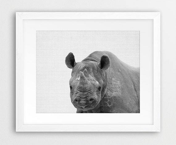 rhino print to scale rhino print to scale