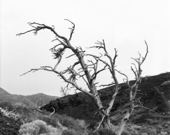 Craters of the Moon National Monument- Original Photograph
