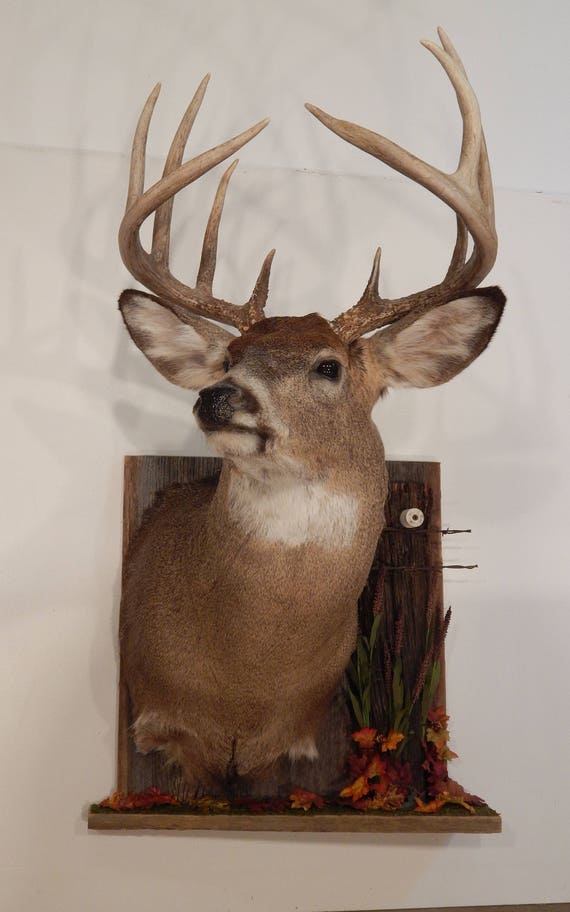 Deer Head Deer Skull Barnwood/Fence Post Mounting Plaque