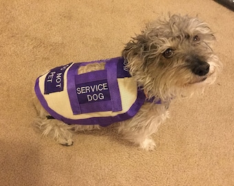 Service dog vest