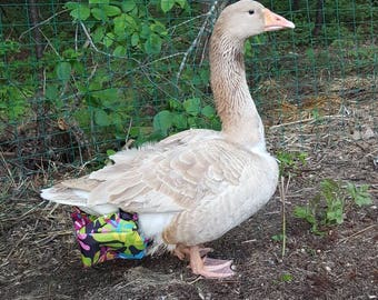 Pet Duck Diaper -Adjustable-Duck Diaper-Goose Diaper-Farm Bird - Diaper for Duck - Water Resistant- Harness and Leash Option
