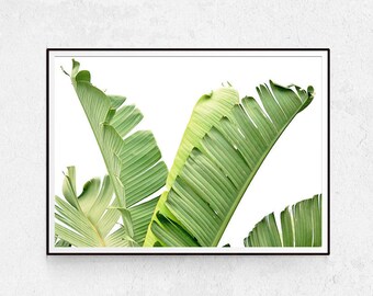 Banana Leaf Print - Palm Leaf Poster - Plant Photography - Scandinavian Wall Decor - Minimalist Wall Art - Botanical Print Set - Download.