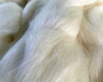 polwarth silk roving 60/40 natural 8 ozs :saorisantacruz
