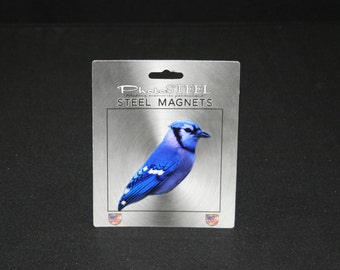 Magnet Blue Jay