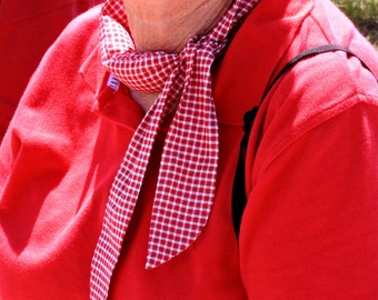 Gel Neck Cooler, Stay COOL Tie Bandana Wrap, Body Head Heat Relief Cooling Band, Eco Red White Check Cool Down Headband, Hairband iycbrand
