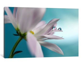 iCanvas In Turquoise Company Gallery Wrapped Canvas Art Print by Heidi Westum