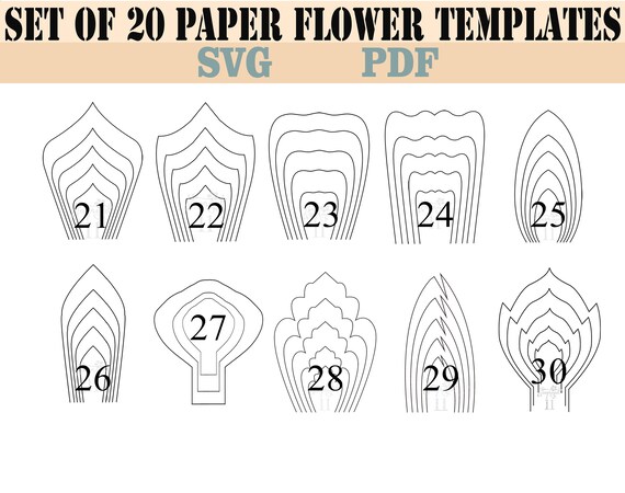 Download All 20 PDF & SVG DIY Giant Paper Flower Template