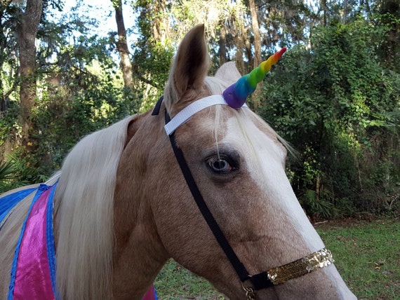 arc en ciel licorne corne quine frontal fantasy cheval poney ou bande de front de cheval miniature avec corne de licorne - Poney Licorne arc en ciel licorne corne quine frontal fantasy cheval poney ou bande de front de cheval miniature avec corne de licorne - Poney Licorne