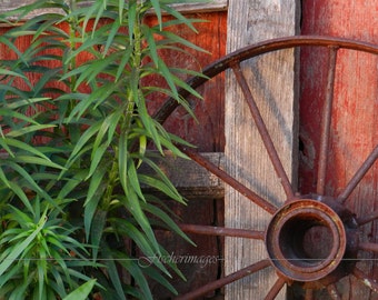 Rusty Wheel Fine Art Photography