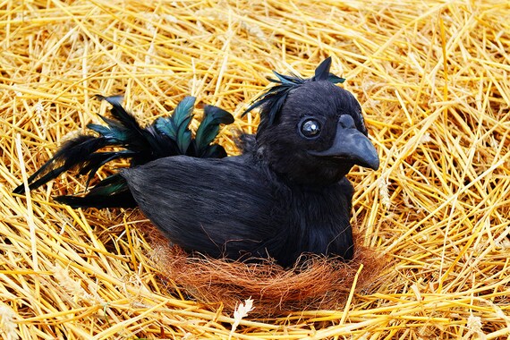 chocobo chick plush